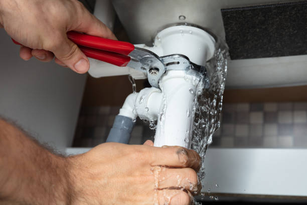 Best Water damage contractors near me  in New Market, TN