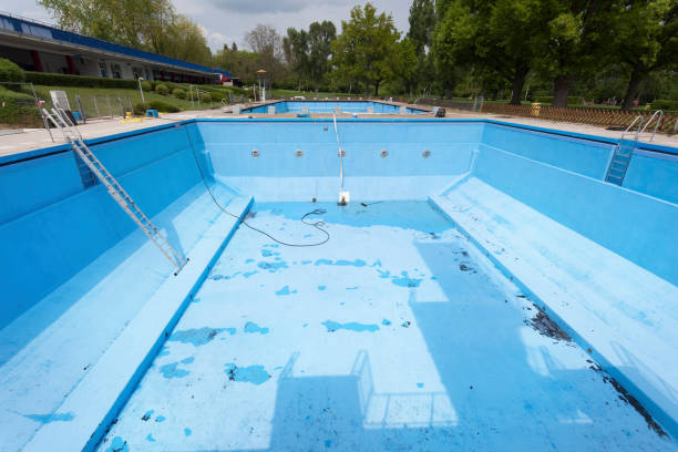 Best Mold removal after water damage  in New Market, TN