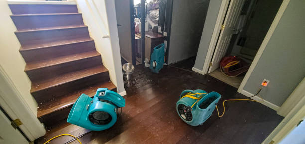 Best Professional water damage repair  in New Market, TN
