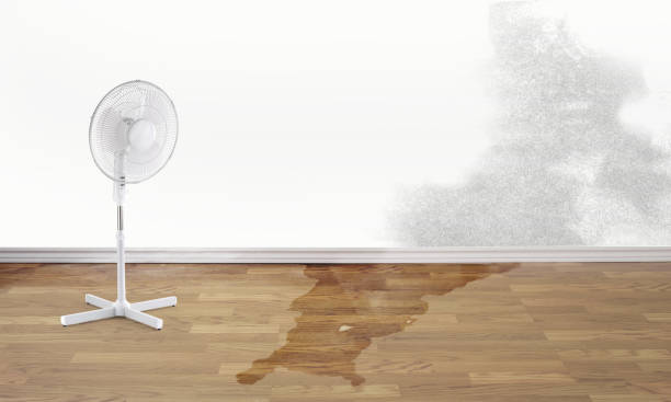 Water damage restoration mold remediation in TN