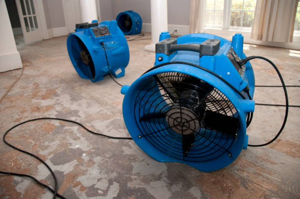 Best Flood damage cleanup  in New Market, TN