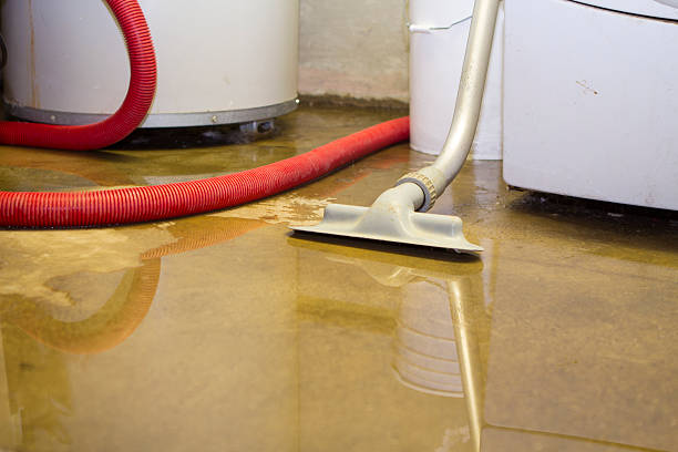 Best Flood restoration services  in New Market, TN