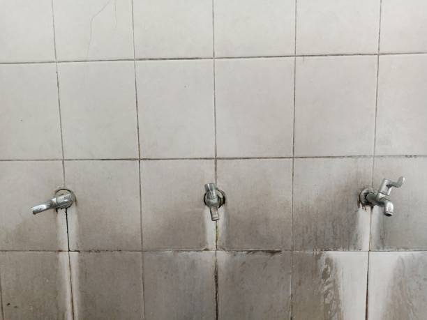 Best Commercial water damage restoration  in New Market, TN