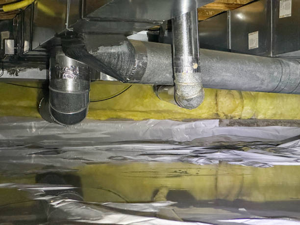 Best 24-hour water damage restoration  in New Market, TN