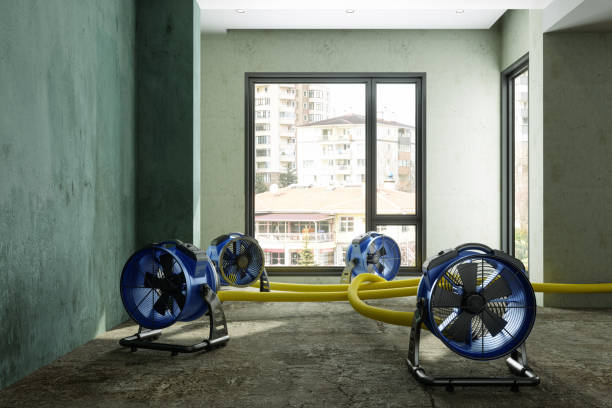 Best Water damage restoration mold remediation  in New Market, TN